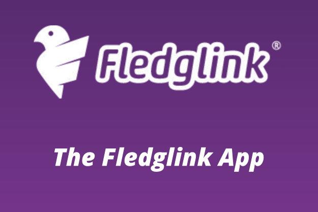 Introducing Fledglink